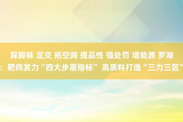 踩脚袜 足交 拓空间 提品性 强处罚 增能源 罗湖：靶向发力“四大步履指标” 高质料打造“三力三区”