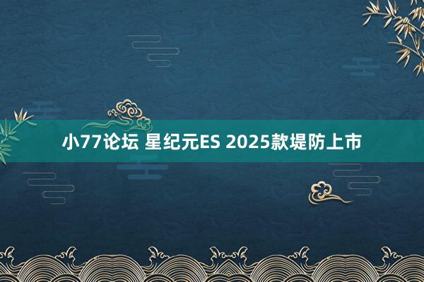 小77论坛 星纪元ES 2025款堤防上市