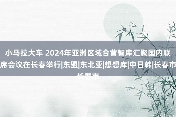 小马拉大车 2024年亚洲区域合营智库汇聚国内联席会议在长春举行|东盟|东北亚|想想库|中日韩|长春市