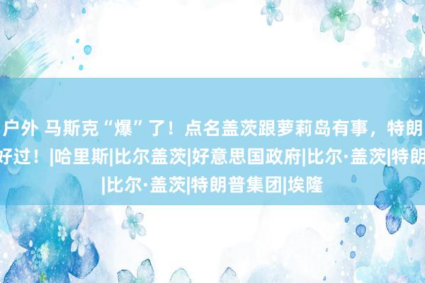 户外 马斯克“爆”了！点名盖茨跟萝莉岛有事，特朗普败选他不好过！|哈里斯|比尔盖茨|好意思国政府|比尔·盖茨|特朗普集团|埃隆