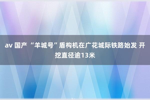 av 国产 “羊城号”盾构机在广花城际铁路始发 开挖直径逾13米