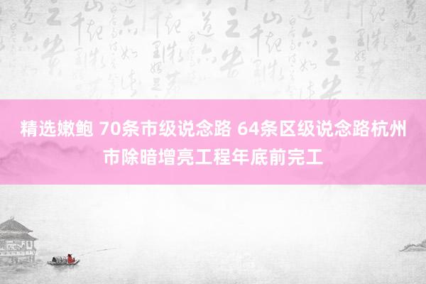 精选嫩鲍 70条市级说念路 64条区级说念路杭州市除暗增亮工程年底前完工